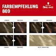 Intensivtönung 869 Kastanienbraun Schwarzkopf Brillance