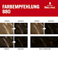 Haarfarbe Intensiv-Color-Creme Nr. 880 Dunkelbraun Schwarzkopf Brillance