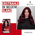 Haarfarbe Intensiv-Color-Creme Nr. 860 - Ultra Violett Schwarzkopf Brillance