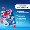 WC blok Color Auto Active Flower 4x50 g Bref