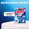 WC blok Color Auto Active Flower 4x50 g Bref