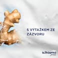 Anti-Dandruff intenzivní šampon proti lupům Intense schauma