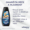 Anti-Dandruff intenzivní šampon proti lupům Intense schauma