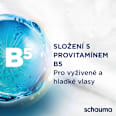 šampon Silver Reflex schauma