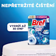 WC blok Color Auto Aktiv Eucalyptus 5x50 g Bref