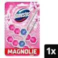 WC-Stein Pink Magnolie Domestos