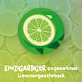 Lemocin gegen Halsschmerzen Lutschtabletten Lemocin