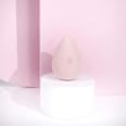 Make-up Schwamm Complexion brush works