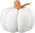 Filzkürbis weiß (13 cm) BOLTZE