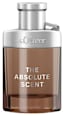 Мъжка тоалетна вода The Absolute Scent Amber s.Oliver