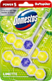 WC-Stein Limette Domestos
