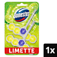 WC-Stein Limette Domestos