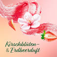 Körperpeeling Gentle Massage Palmolive