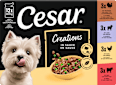 Nassfutter Creations in Sauce Cesar