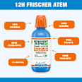 Mundspülung Frischer Atem Icy Mint The Breath Co
