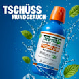 Mundspülung Frischer Atem Icy Mint The Breath Co