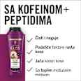 FULL HAIR WONDER šampon za kosu Schwarzkopf GLISS