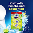 WC-Stein Limette Domestos