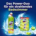 WC-Stein Limette Domestos