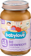 Früchte Gartenfrüchte ab dem 5. Monat babylove