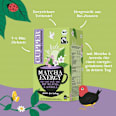 Grüner Tee,  Matcha Energy mit Matcha & Acerola (20 Beutel) Cupper