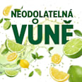 Platinum Plus prostředek na mytí nádobí Lemon & Lime Jar