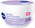 Gesichtscreme Facial Panthenol NIVEA