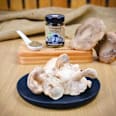Miso mit Bio-Shiitake-Pilzen GENUSSKOARL