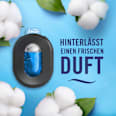 Mülleimer-Erfrischer Reine Frische Nachfüllpackung Febreze