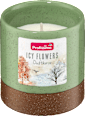 Dišeča sveča v kozarcu Icy Flowers Profissimo