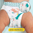 Baby Pants Premium Protection Gr. 4 Maxi (9-15 kg) Monatsbox Pampers premium protection