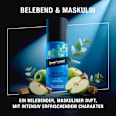 Deospray Spiced Eucalyptus bruno banani