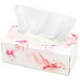 Fazzoletti cosmetici 2 veli ebelin