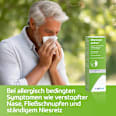 Rhinivict axicur Heuschnupfenspray 50ug/Sprühstoß Nasenspray Suspension Rhinivict