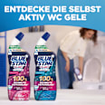 WC Reiniger Gel Selbst Aktiv Meeres Frische BLUE STAR