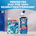 WC Reiniger Gel Selbst Aktiv Meeres Frische BLUE STAR
