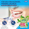 Zahnseidesticks Pflanzenbasiert Complete Clean Extra Stark DenTek