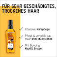 Haaröl Tägliches Öl Elixier Schwarzkopf GLISS