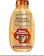 Šampon Honey & Propolis GARNIER BOTANIC THERAPY
