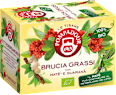 Tisana bio brucia grassi POMPADOUR