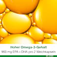 omega3-Loges plus Astaxanthin Kapseln 120 St omega3-Loges