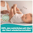 Feuchttücher 99 % Wasser (9x60 St) Pampers baby-dry