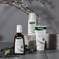 Leave-In Haarspray mit Weidenrinde RAUSCH