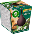 Essential Oils Svíčka Zimní les AIR WICK