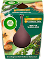 Essential Oils Svíčka Zimní les AIR WICK
