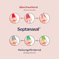 Septanasal 1 mg/ml + 50 mg/ml Nasenspray Septanasal