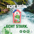 Colorwaschmittel flüssig Granatapfel Frosch