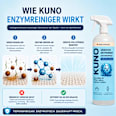 Geruchsentferner Enzymreiniger Kuno