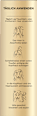 Haarserum Grow Abundant Anti-Haarverlust PANTENE PRO-V