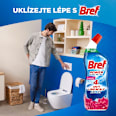 WC gel Power Aktiv Flower Bref